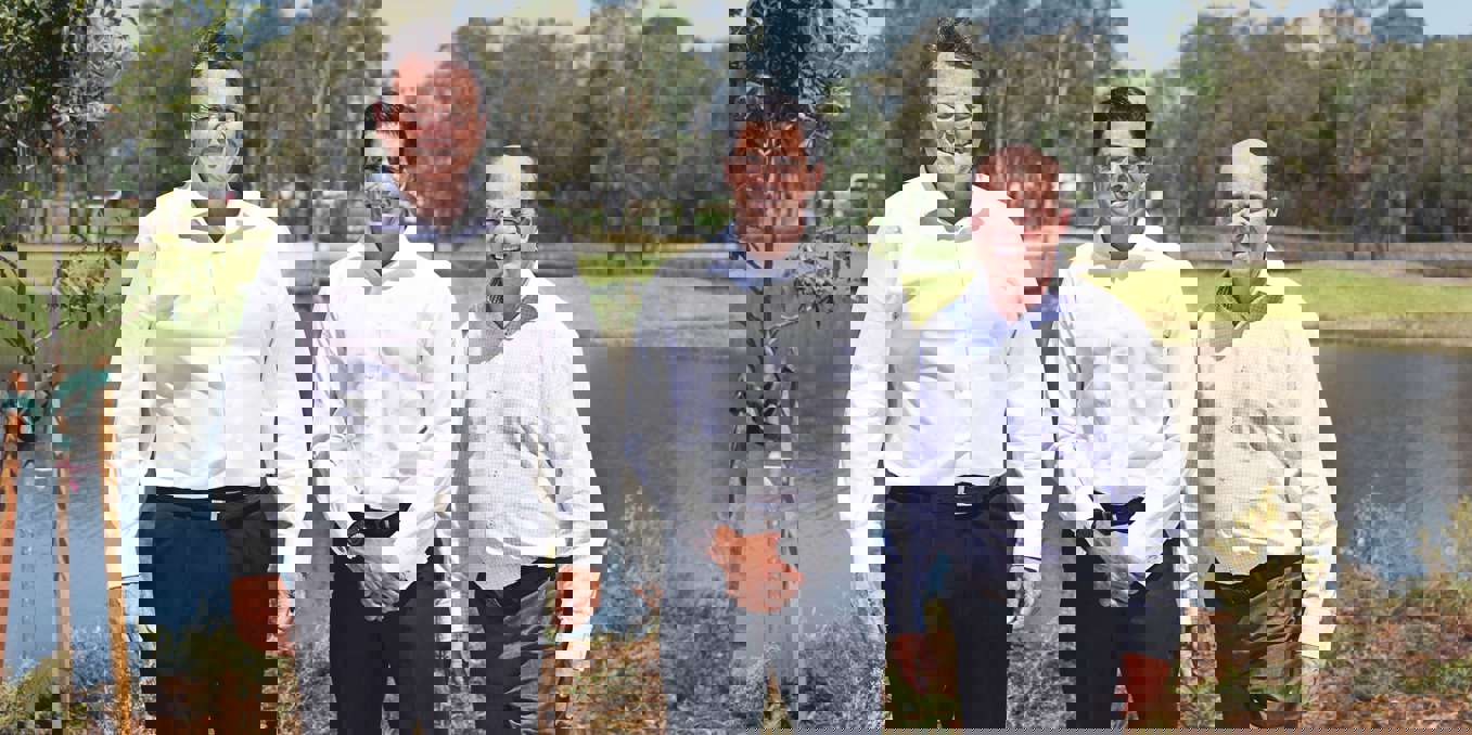 Article Img
